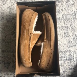 Men’s Ascot ugg slippers